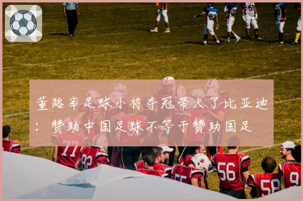 董路率足球小将夺冠带火了比亚迪：赞助中国足球不等于赞助国足