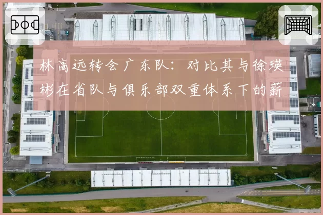 林高远转会广东队：对比其与徐瑛彬在省队与俱乐部双重体系下的薪资结构变化
