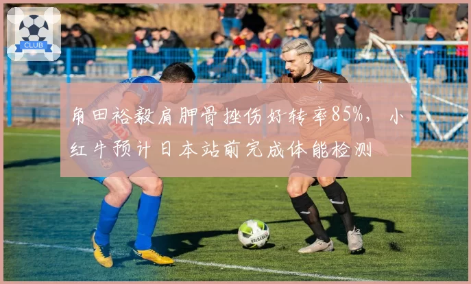 角田裕毅肩胛骨挫伤好转率85%,小红牛预计日本站前完成体能检测